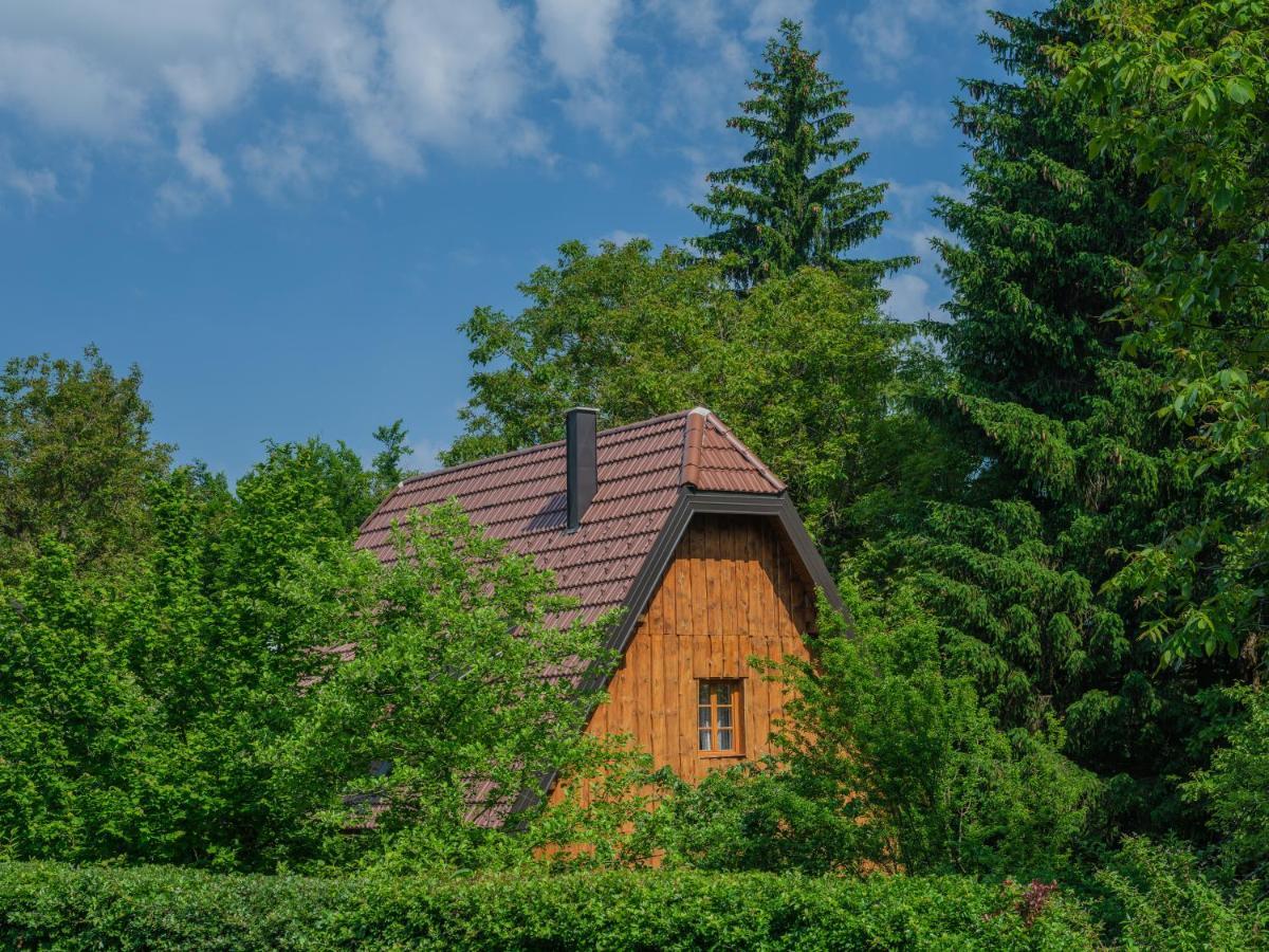 Yeti Cabin بليتفيكا سيلو المظهر الخارجي الصورة