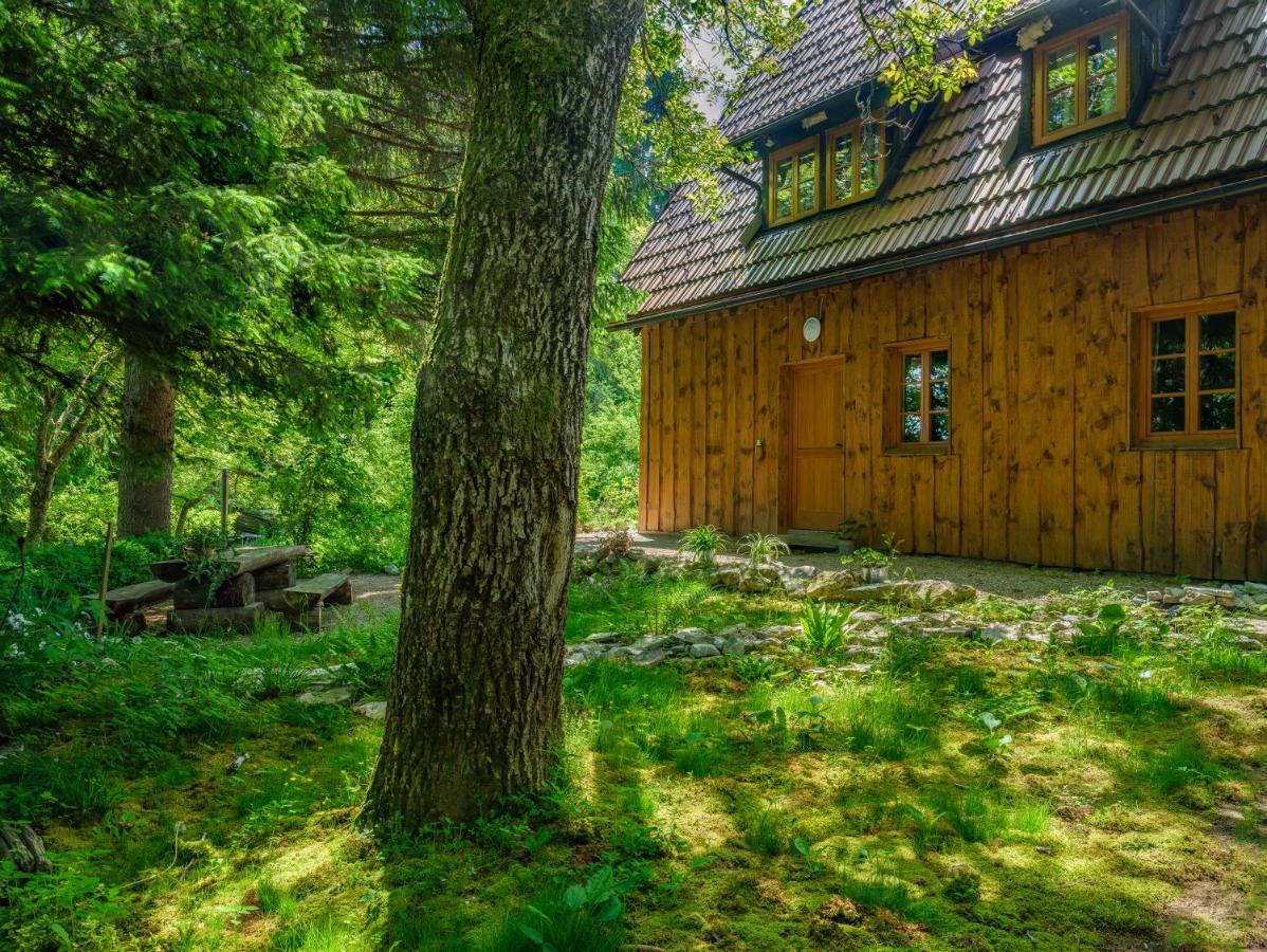 Yeti Cabin بليتفيكا سيلو المظهر الخارجي الصورة