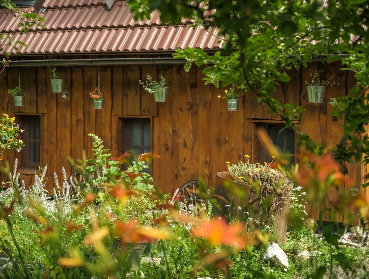 Yeti Cabin بليتفيكا سيلو المظهر الخارجي الصورة